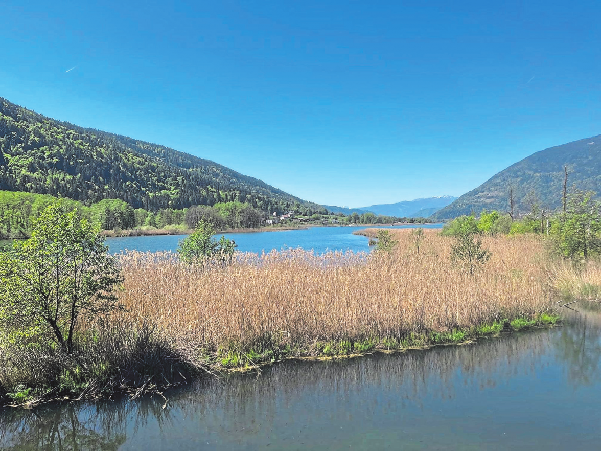 WANDERN AM WASSER <br draggable="true"/>Nicht einfach, mit Kleinkindern Touren zu finden, die Eltern und dem Nachwuchs Erlebnisse bieten.