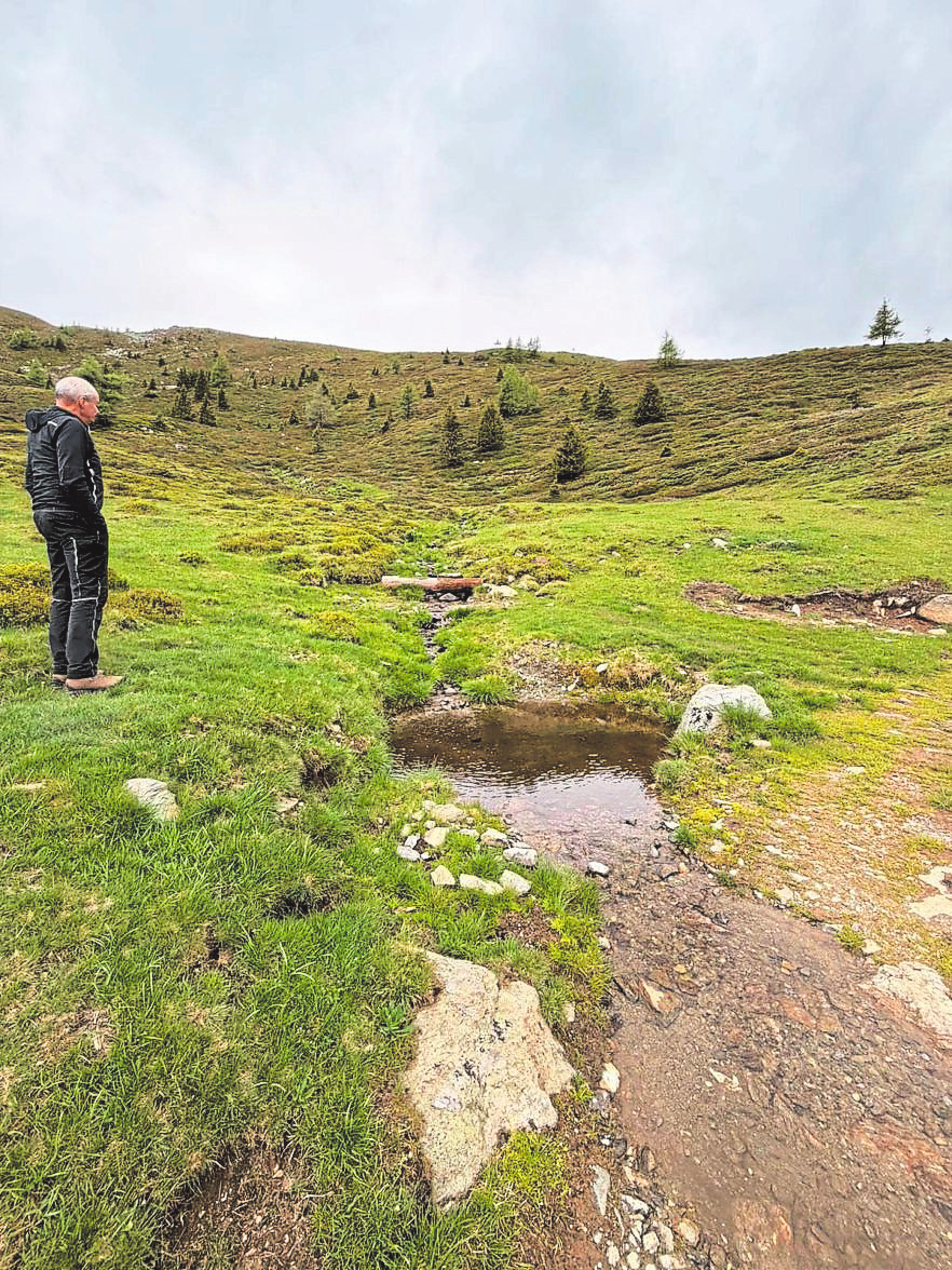 Ausreichend Wasser sollten die Bergflüsse bei uns in Kärnten führen, damit das Vieh auf den Almen genug zu trinken hat. Foto: Elisa Aschbacher