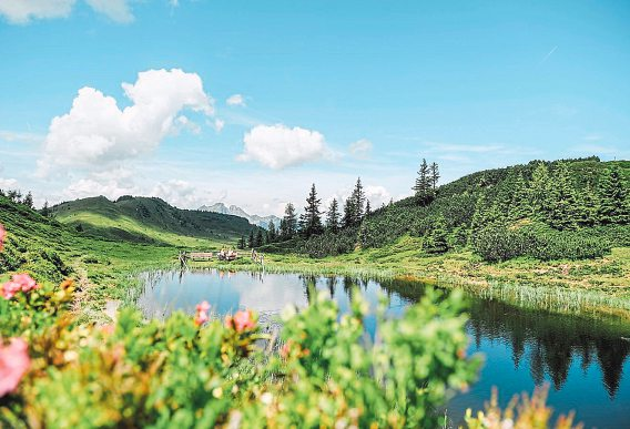 Foto: SalzburgerLand Tourismus/Chris Perkles