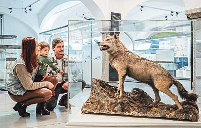 Foto: Museum im Lavanthaus