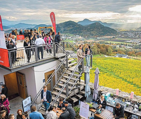 Burg & Weingut Taggenbrunn liegt eingebettet in 40 Hektar Weinberge im Herzen der Alpe-Adria-Region. Foto: MATIC KREMZAR