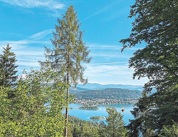 Der Blick über den See vom Rundwanderweg. Foto: Felix Justich