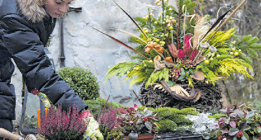 Robuste Pflanzen und Kies statt Erde - Möglichkeiten, bei der Grabpflege zu sparen, gibt es. Foto archiv