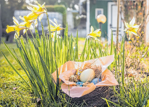 Es müssen nicht immer die Zuckerbomben zum Osterfest sein. Ansprechende Deko und köstliche Zutaten sind ebenso gefragt an den Feiertagen. Foto: Christin Klose/dpa-mag