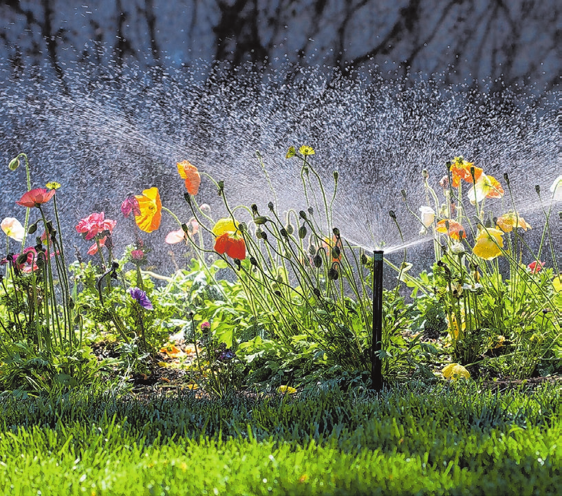 Ebenfalls im Gartentrend: Wasserversorgung der Pflanzen mit automatischen Beregnungssystemen im eigenen Außenbereich - ganz komfortabel und standortunabhängig via App regulierbar. Foto: epr/Rainpro