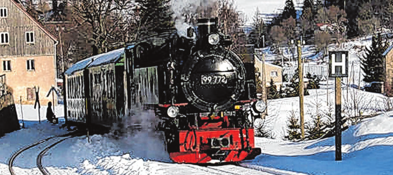 Auf den Spuren des „Rodelblitz“ geht es am 29. November in den Thüringer Wald. Fahrkarten unter: 0355 481 568 Beispielfoto: LDC e.V.