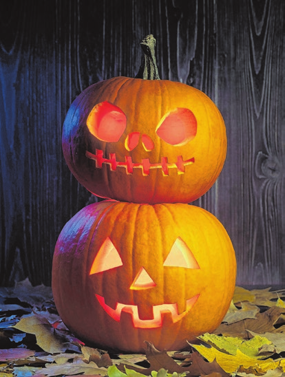 Foto: Vlad Yakubovskiystock.adobe.com