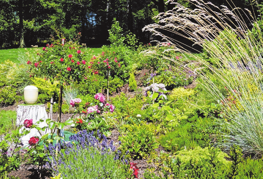 Eine besondere Form der Naturbestattung: Beisetzung im Blumengarten