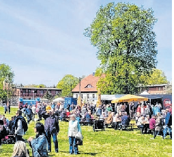 Zum Fest werden neue Bäume gepflanzt, Patenschaften können übernommen werden. Foto: M.Roemmer