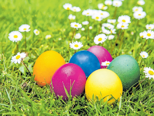 Das Färben von Ostereiern hat jetzt Hochkonjunktur. Fotos: Auro/akz-o