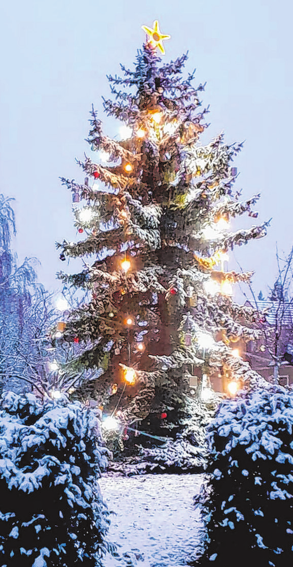Der Booßener Weihnachtsbaum wird wieder festlich erstrahlen.