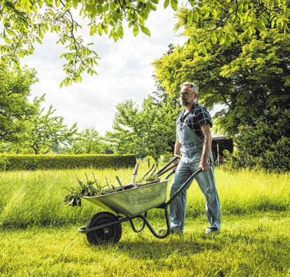 Erledigt ein Profi ihre Gartenarbeit gegen Bezahlung? Dann können Sie die Kosten von der Steuer absetzen. Foto: Christin Klose/dpa-mag