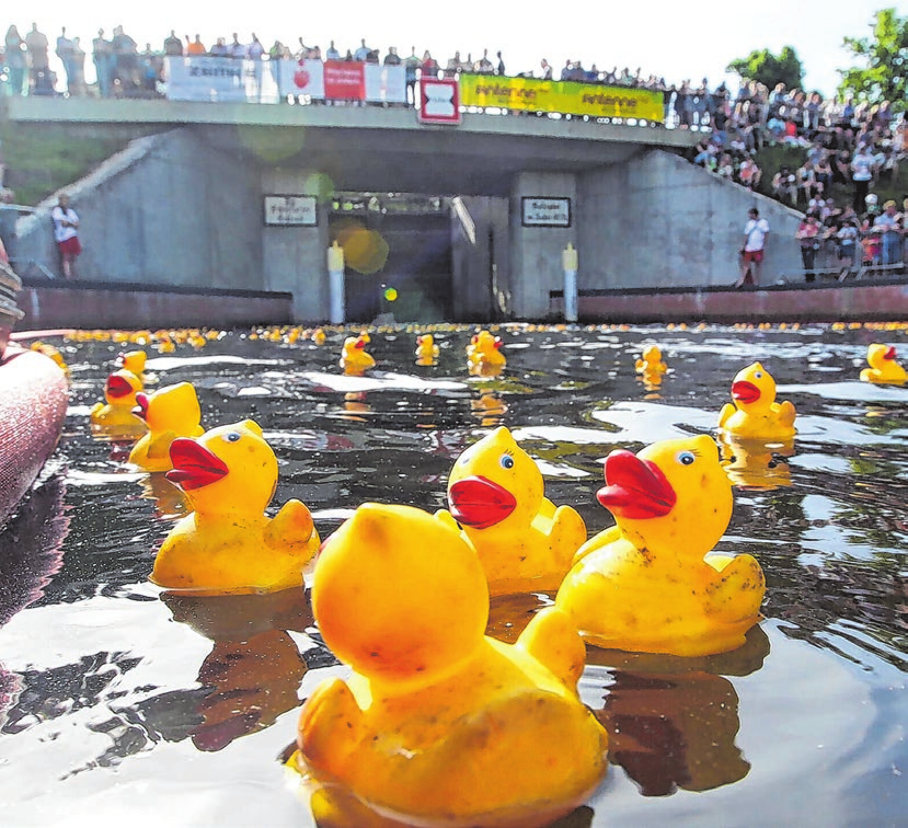 Hier das Entenrennen mit 800 Enten, im Jahr 2019 Foto: Archiv/Thomas Burckhardt