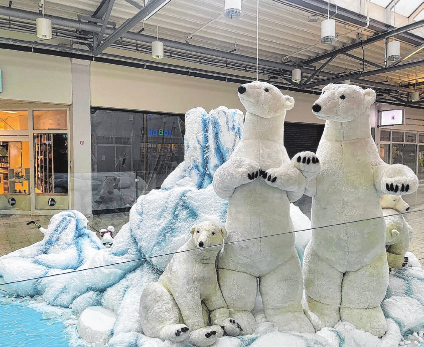 Da staunen die Kinder nicht schlecht! Die Eisbären sind zu Besuch im City Center. Fotos: Christine Schilg