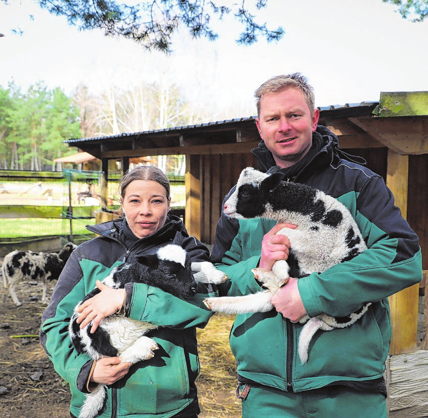 Tierparkleiter Ruske mit Pflegerin und streichelerprobten jungen Vierhornschafen Foto: Marco Winkler