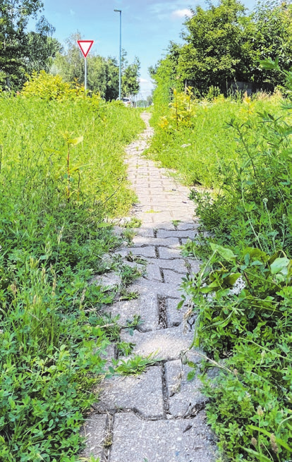Noch vor einem Jahr war der Weg kaum passierbar.