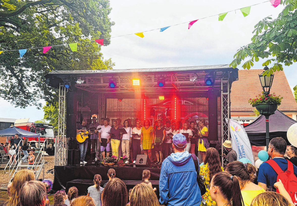 Im vergangenen Jahr war das Stadtfest gut besucht - hier der Blick auf die Bühne.