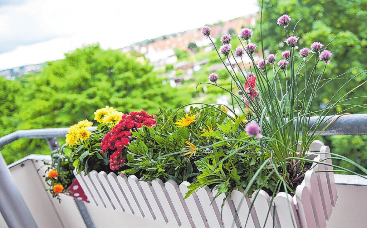Wird in der Eigentümerversammlung der Beschluss gefasst, dass Blumenkästen künftig innen am Balkon hängen müssen, ist dies rechtens. Foto: Andrea Warnecke/dpa-mag