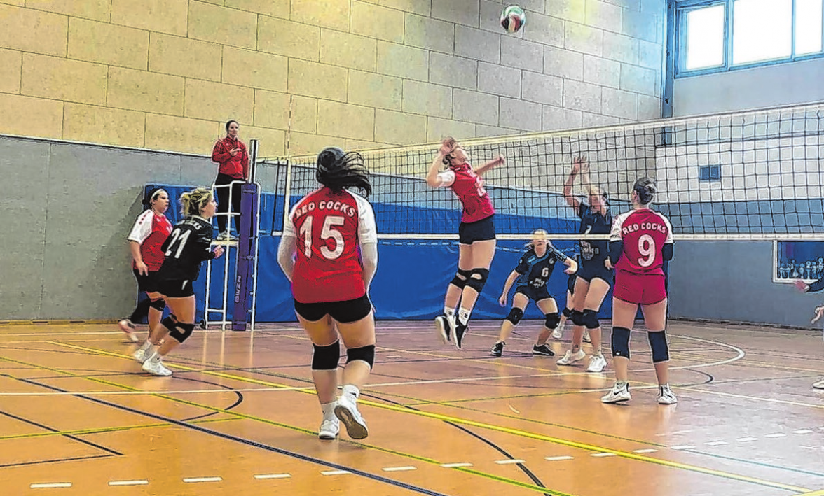 Immer dienstags, von 19 bis 21 Uhr, trainieren die Volleyball-Damen von Red Cocks. Foto: Romy Nowak