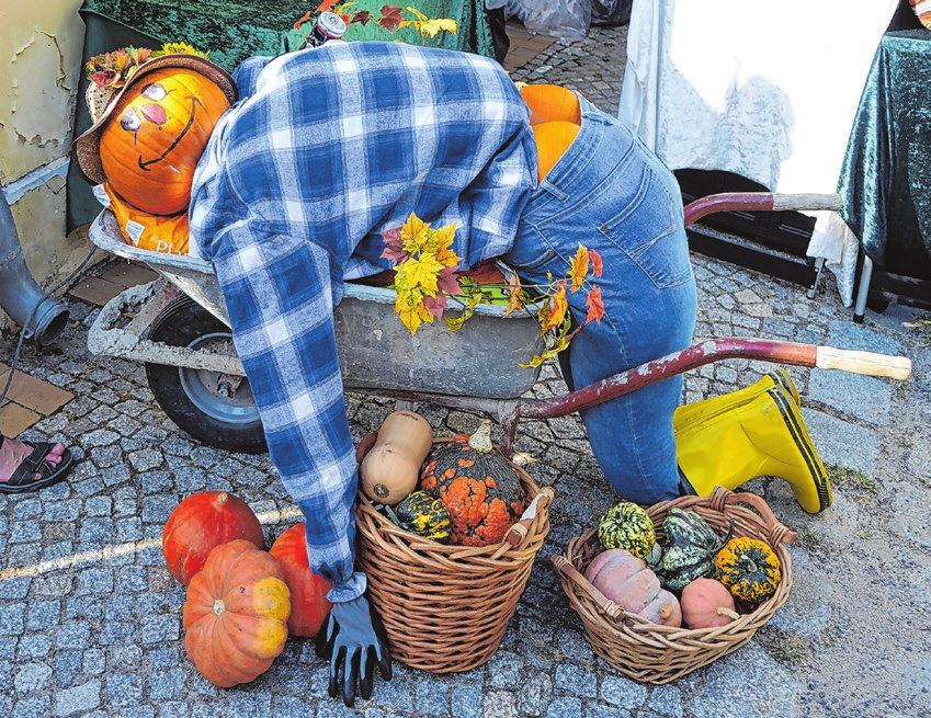 Eine von vielen liebevoll gestalteten „Vogelscheuchen“ zum namensgebenden Fest, die das Stadtbild schmücken.