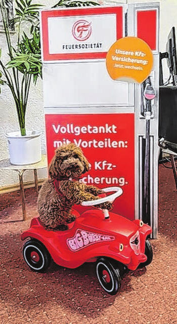 Ein bisschen Spaß muss sein – Bürohündin Kira sorgt für gute Laune. Foto: privat