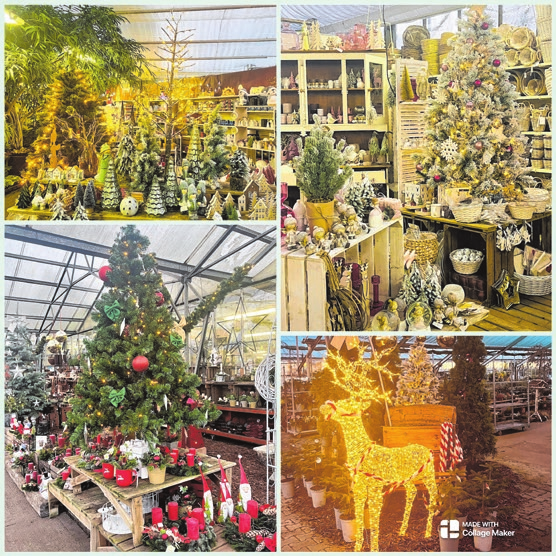 Fotos (4): Antje Schulz