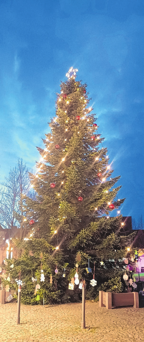 Zur Weihnachtszeit wird der Baum auf dem Marktplatz in Müllrose zum leuchtenden Blickfang. Foto: Christine Schilg