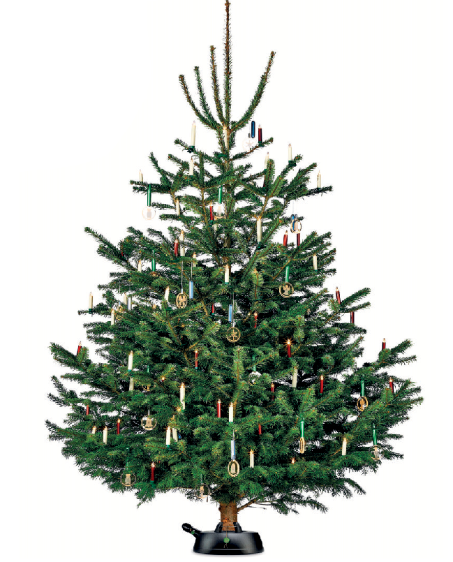 Sicher aufgestellt wird der Christbaum in einem umweltfreundlichen Baumständer aus recyceltem Plastikmüll mit Rundum-Seil-Technik. Foto: djd-k/Krinner