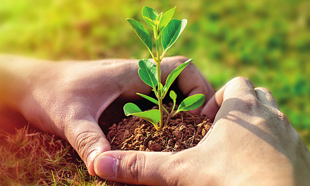 Die Kraft der Heilung liegt oftmals im Inneren.