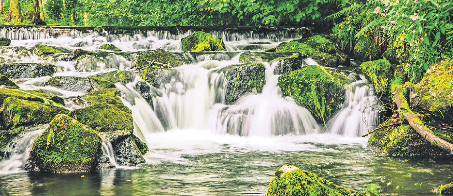Der Gartenschau-Rundgang passiert auch das Forbachtal. Foto: Gartenschau