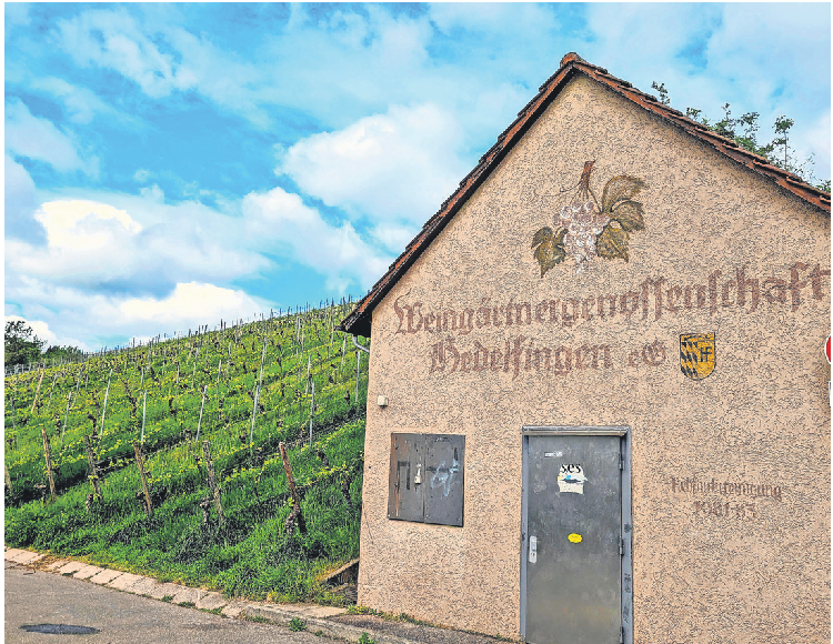 Noch wirbt hier die Weingärtnergenossenschaft Hedelfingen für sich.