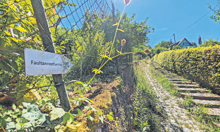 Auf den historischen Wandelwegen kann man über Wangen durch die Geschichte wandeln.