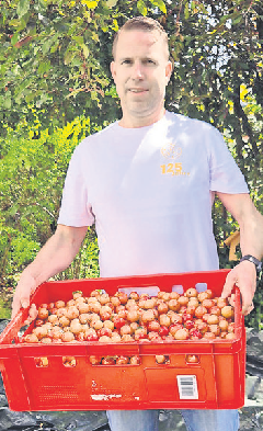 Kirschpflaumen und Mirabellen aus dem eigenen Garten werden zu Obstler und Edelbränden gebrannt und im Clubrestaurant ausgeschenkt.