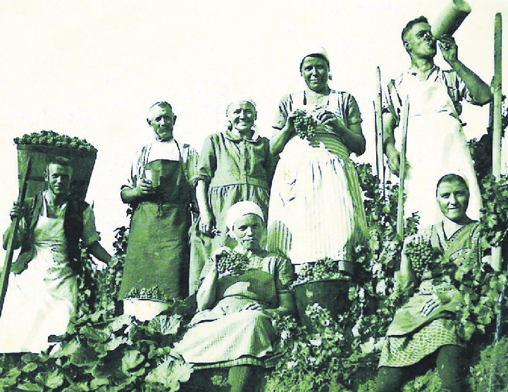 Undatiertes Foto: Wengerter legen eine kleine Pause bei der Lese ein Foto: Archiv Teamwerk Esslingen