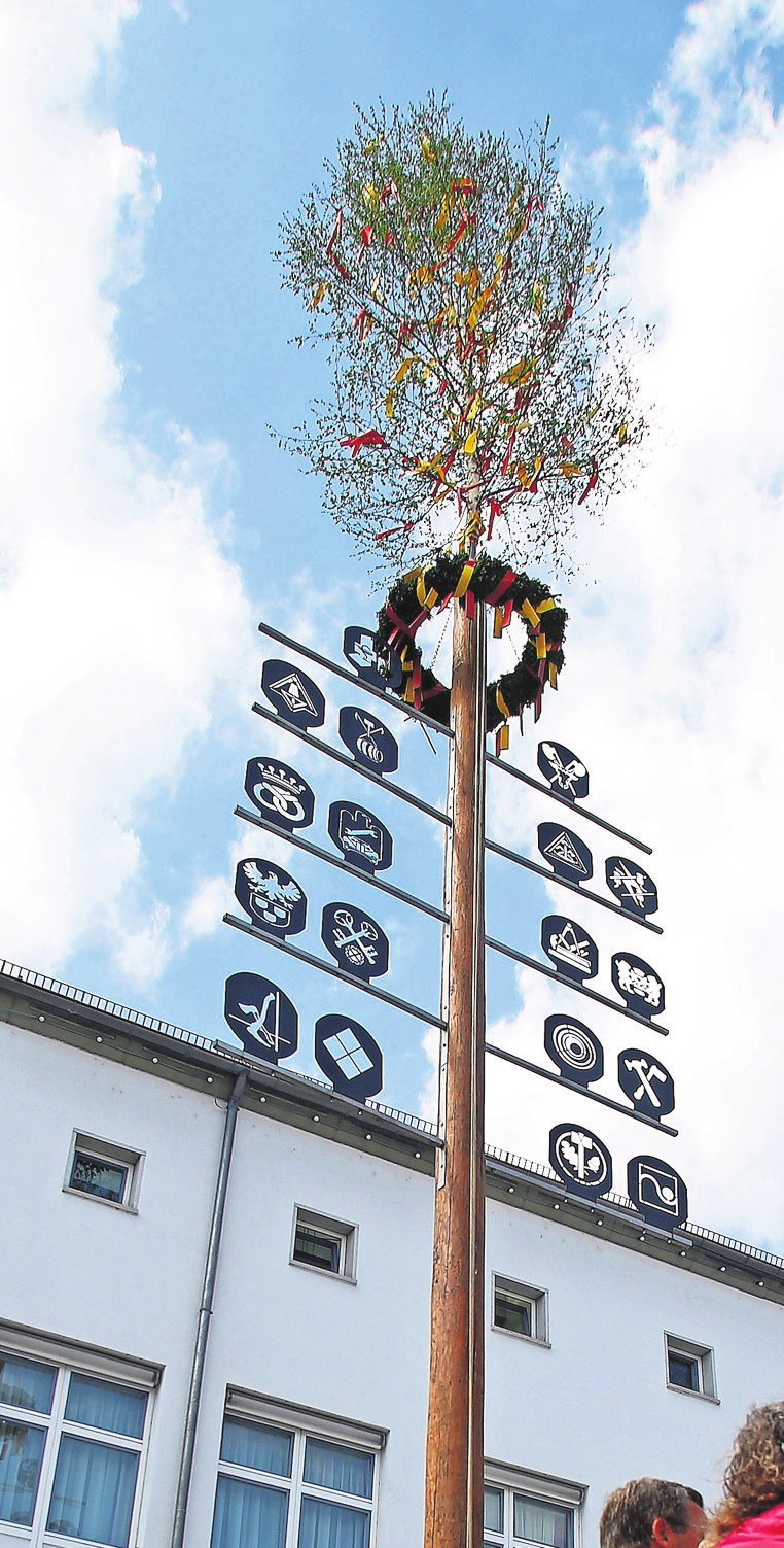 Die Schilder am Baum repräsentieren die Zünfte Murrs. Foto: Archiv/Ralf Poller/Avanti