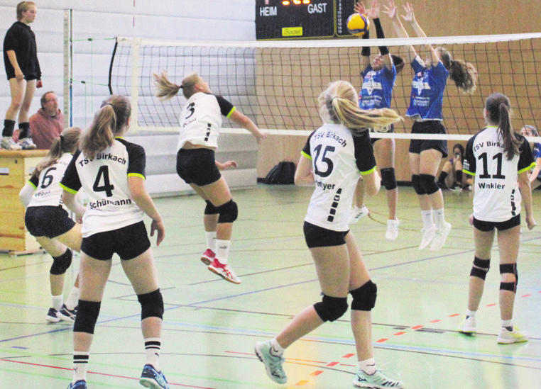 Im Herbst sind internationale Volleyball-Turniere geplant. Foto: z