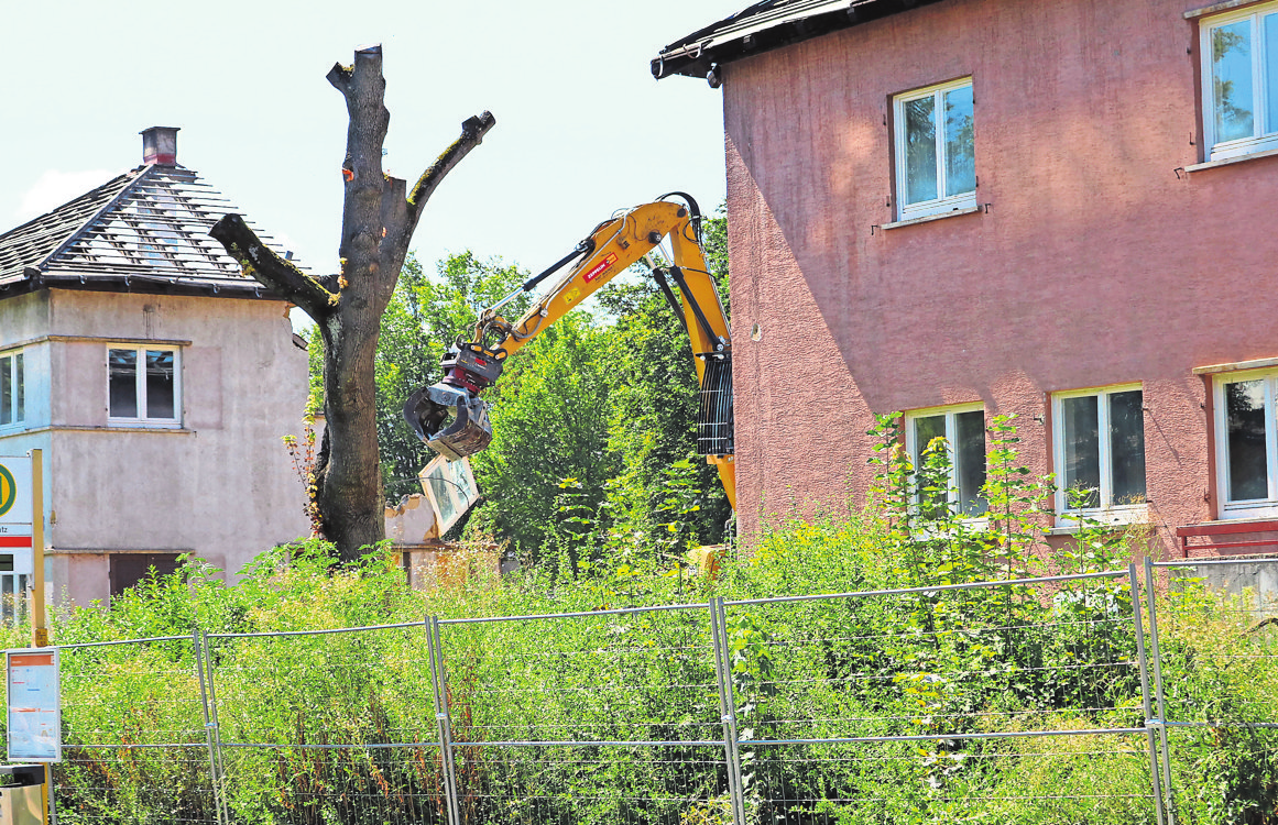 Die Abrissarbeiten auf dem ehemaligen Daimlergelände sind derzeit in vollem Gange. Fotos: eha