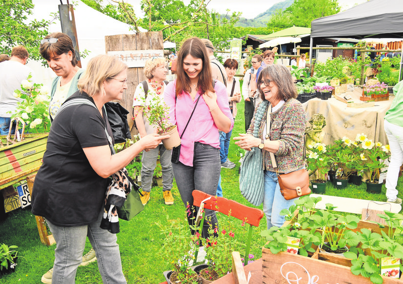 Qualitätspflanzen aller Art, Sämereien, Werkzeuge und Accessoires rund um den Garten finden Besucher auf der Gardenlife. Foto: Veranstalter