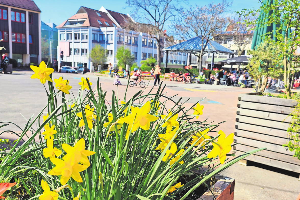Am Vaihinger Markt ist der Frühling eingetroffen. Foto: Christian Günther