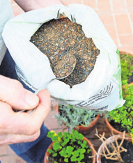 Düngen mit Hornspänen<i><b> dpa</b></i>