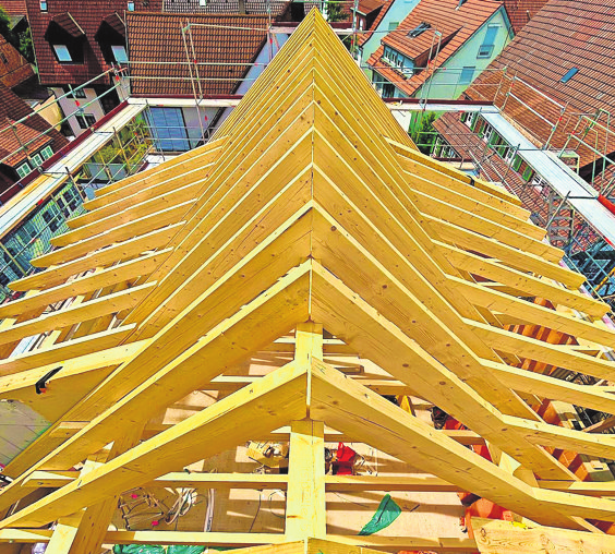 Holzbau vom Fachmann vor Ort.