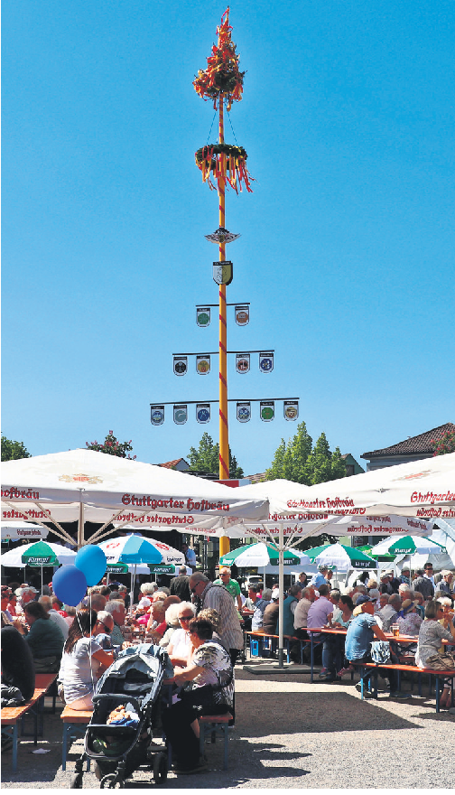 Der Maibaum ist das sichtliche Zeichen für den Frühling.