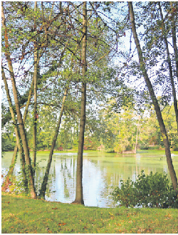 Ausflugstipp: Der Riedsee liegt sehr idyllisch.