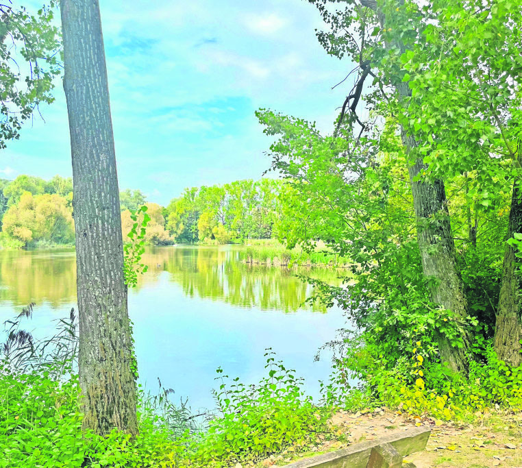 Naherholung mitten in Möhringen: Der Probstsee.