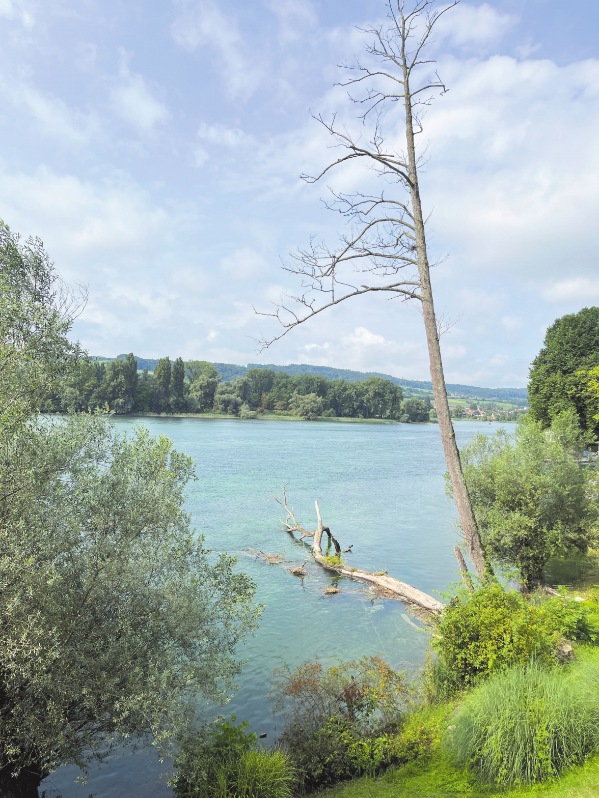 Bodensee