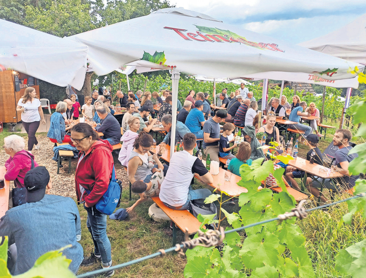 Eine ganz besondere Umgebung: In der Eltinger Feinau wird vom 1. August an vier Tage lang das Weinfest gefeiert. Foto: Ute Jenschur