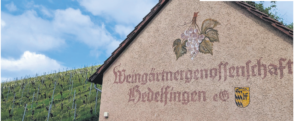 Am Lenzenberg wird die WG Hedelfingen hoffentlich noch lange verewigt bleiben. Fotos: Jürgen Brand