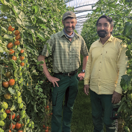 Bei Organix gibt es jeden Tag viel frisches Gemüse von den Demeterund Bioland-Gärtnern aus der Region. Foto: z