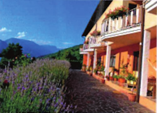 Trentino