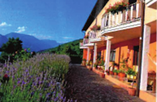 Trentino
